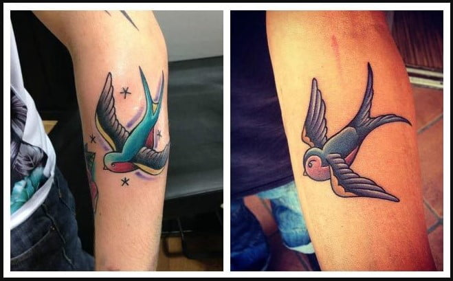 Golondrinas con alas abiertas