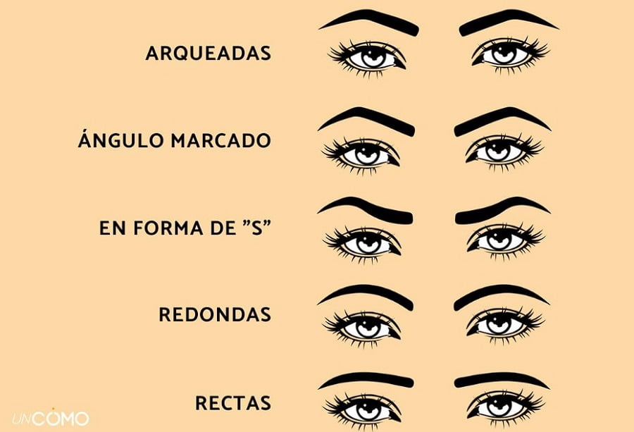 Varios tipos de cejas