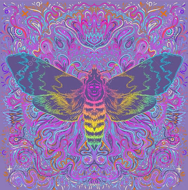 Polilla piscodélica