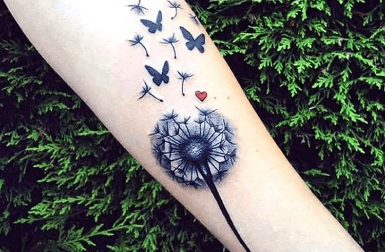 Dientes de león con mariposas